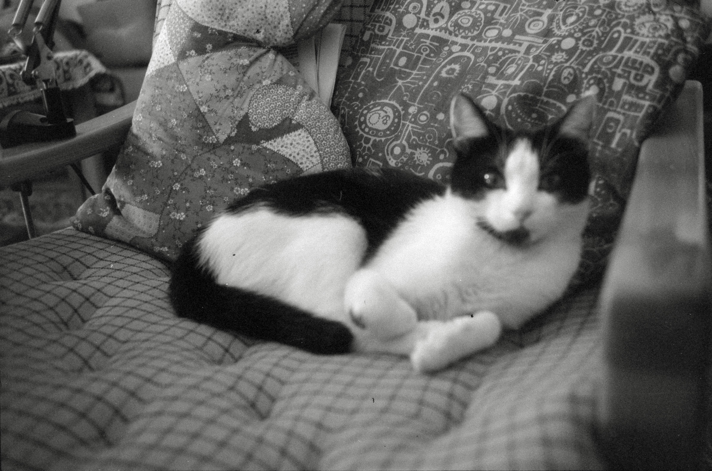 AHP F1994 06 003 sc240829 img06 NLP